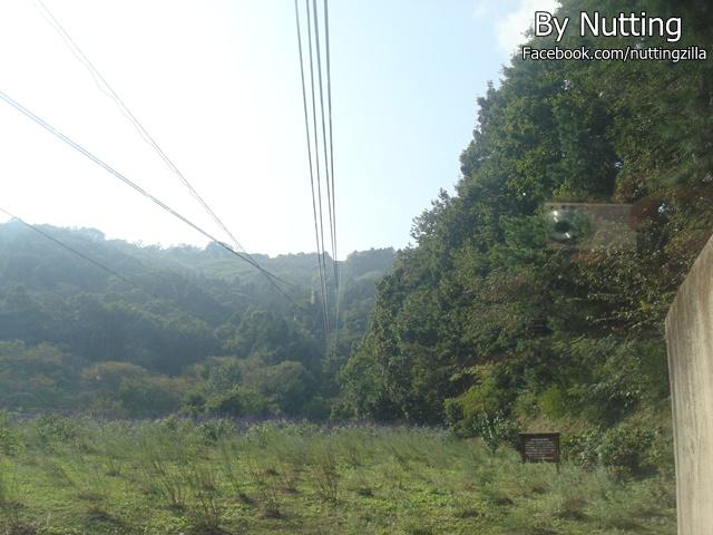 DSC03931.JPG